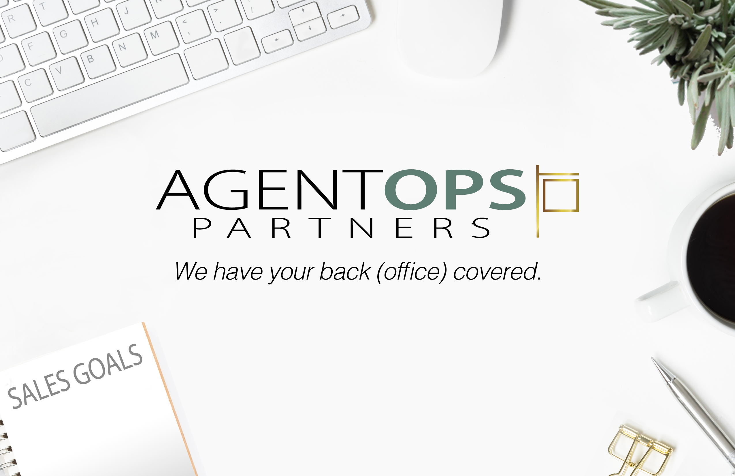 New Website on its way